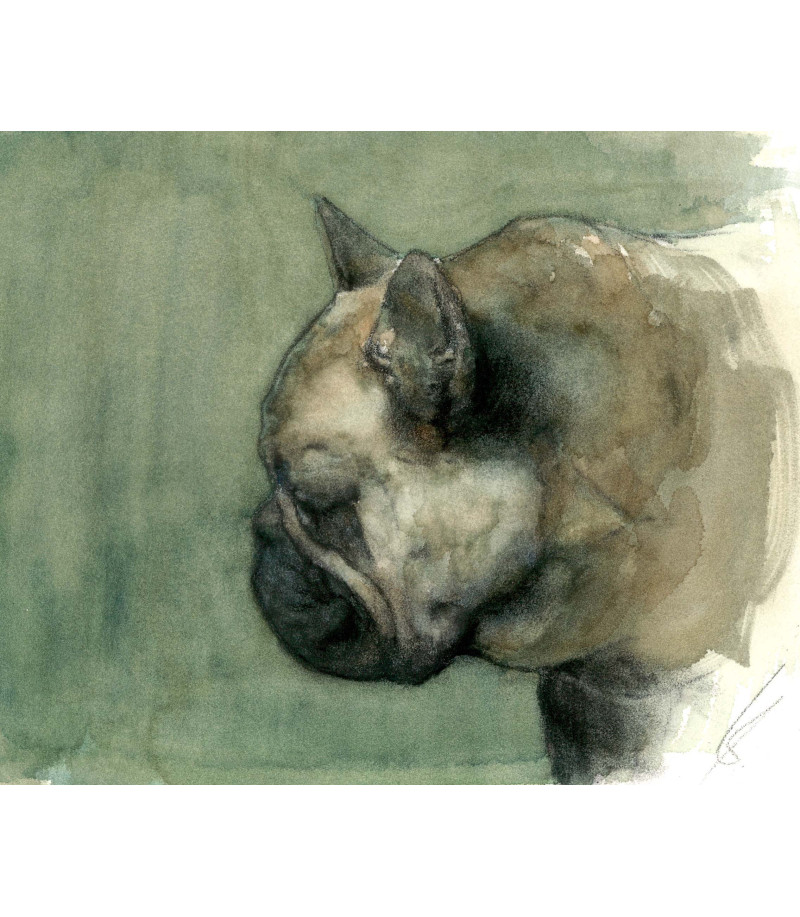 Peinture à huile chien bouledogue américain de Igor LY