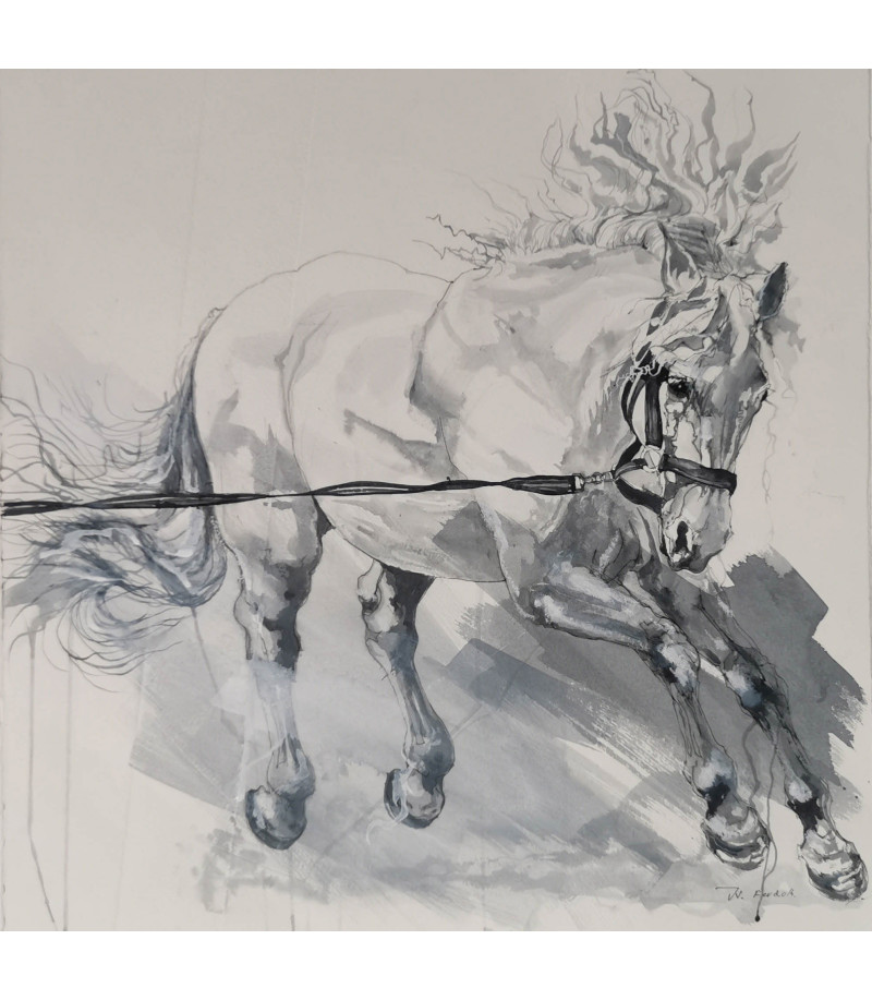 dessin encre sur papier cheval -lusitanien au travail - Julie Salmon