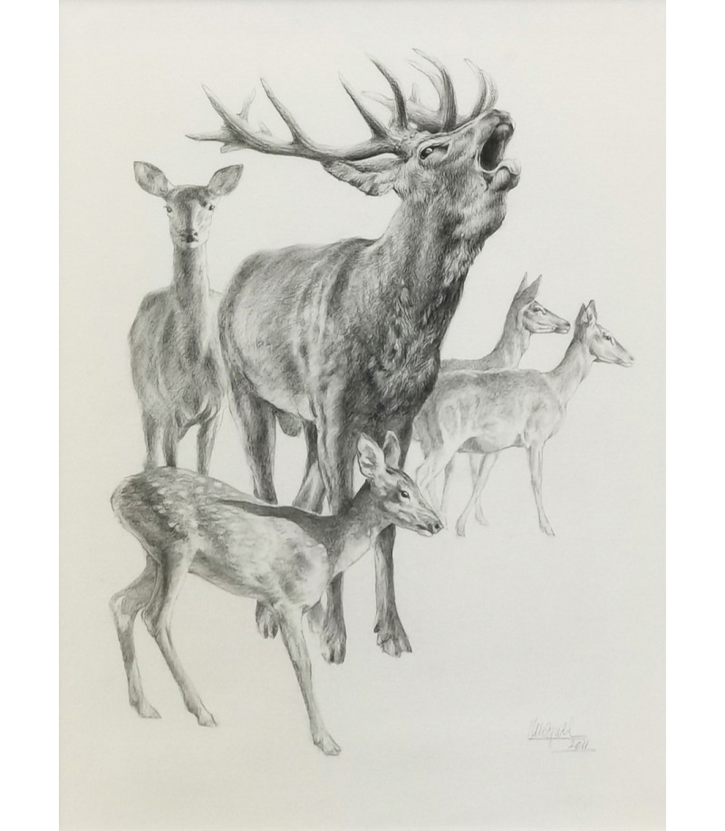 Dessin Cerf Biche Et Faons De Miguel Angel Moraleda Animal Art Gallery